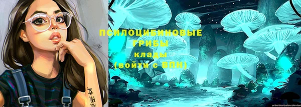 ПСИЛОЦИБИНОВЫЕ ГРИБЫ Горнозаводск