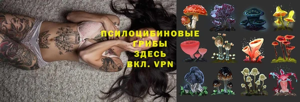 spice Вязьма